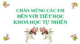 Giáo án điện tử Khoa học tự nhiên 7 bài 8 Chân trời sáng tạo : Tốc độ của chuyển động