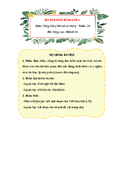 Phiếu bài tập cuối tuần Tiếng Việt lớp 3 Tuần 10 (Nâng cao) | Kết nối tri thức