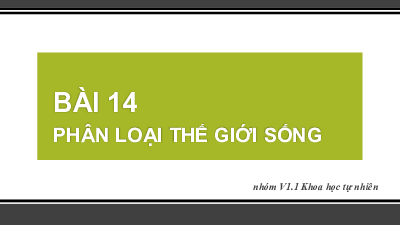Chủ đề 8. Bài 14: Phân loại thế giới sống | Bài giảng PowerPoint KHTN 6 | Cánh diều
