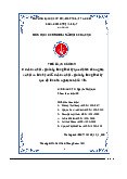 Cơ cấu xã hội giai cấp trong thời kỳ quá độ lên chủ nghĩa xã hội và liên hệ với cơ cấu xã hội giai cấp trong thời kỳ quá độ lên chủ nghĩa xã hội ở Việt Nam | Tiểu luận cuối kỳ môn Chủ nghĩa xã hội khoa học
