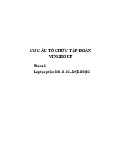 Cơ cấu tập đoàn Vingroup - Quản trị kinh doanh | Trường Đại học Tài chính - Ngân hàng Hà Nội