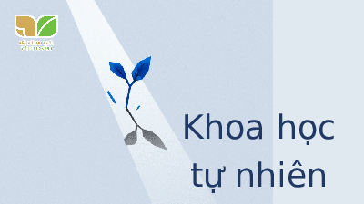 Giáo án điện tử Khoa học tự nhiên 7 bài 27 Kết nối tri thức : Thực hành Hô hấp ở thực vật