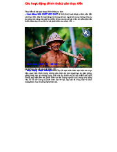 Các Hoạt Động Của Thực Tiễn Môn Triết Học: Ví Dụ & Phân Tích