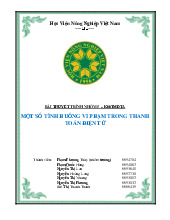 Bài thuyết trình nhóm 5: Vi phạm trong TT điện tử Môn Thanh toán quốc tế | Trường Học Viện nông nghiệp Việt Nam