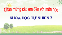 Giáo án điện tử Khoa học tự nhiên 7 bài 14 Chân trời sáng tạo : Phản xạ âm