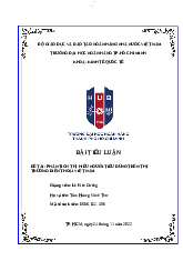 Tiểu luận Phân tích thị hiếu người tiêu dùng trên thị trường Việt Nam - Kinh tế học vi mô | Trường Đại học Ngân hàng Thành phố Hồ Chí Minh