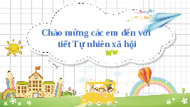 Giáo án điện tử Tự nhiên và xã hội 2 Bài 3 Chân trời sáng tạo: Phòng tránh ngộ độc khi ở nhà.