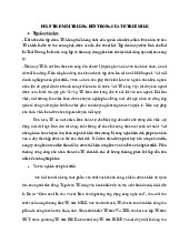 Phân tích môi trường bên trong của TH True Milk | Đại học Ngoại Thương