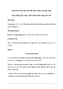 Soạn bài Đọc: Cánh chim nhỏ | Kết nối tri thức