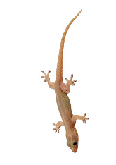 Thiết kế chưa có tên