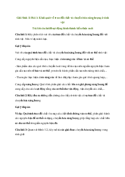 Giải Sinh học 11 Bài 1: Khái quát về trao đổi chất và chuyển hóa năng lượng ở sinh vật | Chân trời sáng tạo