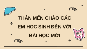 Giáo án điện tử Khoa học tự nhiên 8 Bài 28 Cánh diều: Hệ vận động ở người