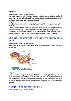 Giải SGK Khoa học tự nhiên 7 bài 30: Trao đổi nước và chất dinh dưỡng ở thực vật|Kết nối tri thức