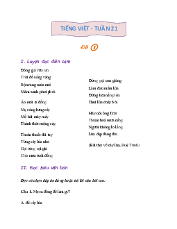 Phiếu bài tập cuối tuần lớp 2 môn Tiếng Việt Kết nối tri thức - Tuần 21