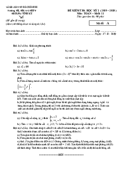 Đề thi học kì 1 Toán 11 năm 2019 – 2020 trường Trương Vĩnh Ký – TP HCM