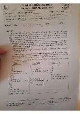 Đề thi cuối HKII học phần Cơ sở lập trình năm 2024 - 2025 | Trường Đại học Khoa học tự nhiên, Đại học Quốc gia Thành phố Hồ Chí Minh