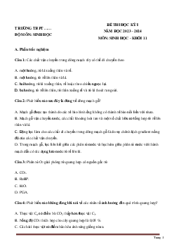 Đề thi học kì 1 môn Sinh học 11 | Chân trời sáng tạo