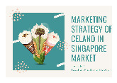 Marketing Strategy OF celano in singapore market -đã nén - Tài liệu tham khảo | Đại học Hoa Sen