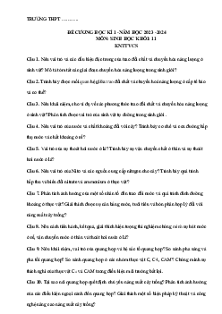 Đề cương ôn tập học kì 1 môn Sinh học 11 sách Kết nối tri thức với cuộc sống