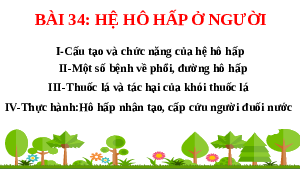 Giáo án điện tử Khoa học tự nhiên 8 Bài 34 Kết nối tri thức: Hệ hô hấp ở người