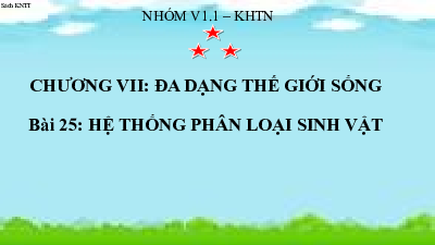 BÀI 25- Hệ thống phân loại sinh vật | Bài giảng PowerPoint Khoa học tự nhiên 6 | Kết nối tri thức