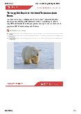 Why we need to protect polar bears - Basic English | Đại học Ngoại ngữ - Tin học Thành phố Hồ Chí Minh