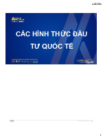 Bài giảng Đầu tư quốc tế | Đại học Hoa Sen