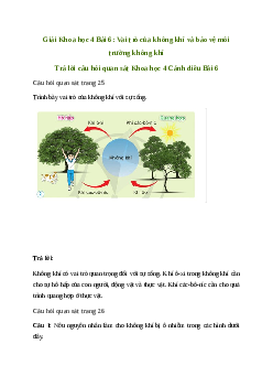 Giải Khoa học lớp 4 Bài 6: Vai trò của không khí và bảo vệ môi trường không khí | Cánh diều