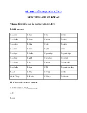 TOP 6 đề thi giữa học kì 1 môn Tiếng Anh lớp 3 năm 2024 - 2025