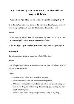 Giải KHTN 6 Bài 20: Các cấp độ tổ chức trong cơ thể đa bào - Chân trời sáng tạo