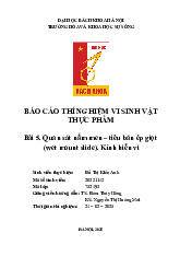 Báo cáo thí nghiệm Quan sát nấm men – tiêu bản ép giọt môn Vi sinh vật thực phẩm | Trường Đại học Bách Khoa Hà Nội