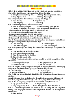 TOP 4 Bộ đề ôn tập giữa học kỳ II năm học 2022-2023 môn vật lí 9- Đề 1
