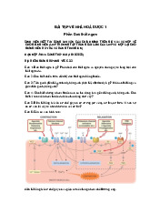 Câu hỏi lý thuyết của bài Đau thắt ngực- Hoá dược 1
