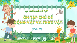 Giáo án điện tử Tự nhiên và Xã hội 2 Bài 20 Kết nối tri thức: Ôn tập chủ đề Thực vật và động vật