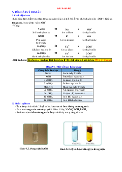 Chuyên đề KHTN 8 Cánh diều bài 9 Base