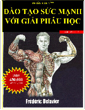 giải phẩu chi tiết về cơ bắp - phương pháp tập luyện