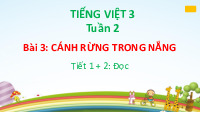 Giáo án điện tử Tiếng Việt 3 Tập 1 Bài 3 Kết nối tri thức: Cánh rừng trong nắng - Đọc