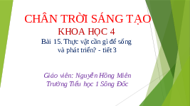 Giáo án điện tử Khoa học 4 Bài 15 Chân trời sáng tạo: Thực vật cần gì để sống và phát triển?