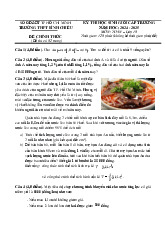 Đề thi học sinh giỏi Toán 10 năm 2024 – 2025 trường THPT Bình Chiểu – TP HCM