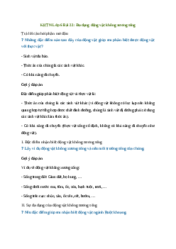 Giải KHTN Lớp 6 Bài 22: Đa dạng động vật không xương sống | Cánh diều
