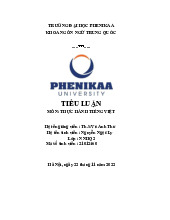 Bài tập lớn kết thúc học phần môn học thực hành Tiếng Việt | Trường Đại học Phenikaa