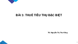 Tài liệu ôn tập Thuế nhà nước - Thuế TTĐB