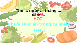 Giáo án điện tử Khoa học 4 Chân trời sáng tạo: Chuỗi thức ăn trong tự nhiên