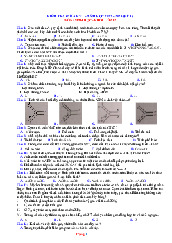 Đề thi giữa học kỳ I năm 2022-2023 đề 1 môn sinh học 12 (có đáp án)