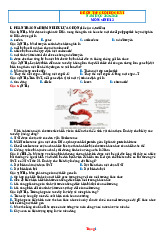 Đề Ôn Tập Học Kỳ 1 Sinh 12 Chân Trời Sáng Tạo 2025-2026