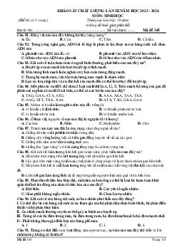 Đề thi thử THPT Quốc gia năm 2024 lần 3 môn Sinh học trường THPT Đội Cấn, Vĩnh Phúc - Mã đề 345
