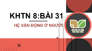 Giáo án điện tử Khoa học tự nhiên 8 Bài 31 Kết nối tri thức: Hệ vận động ở người