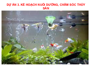 Bài giảng điện tử môn Công nghệ 7 Dự án 3. Kế hoạch nuôi dưỡng, chăm sóc thuỷ sản (Tiết 34) | Cánh diều