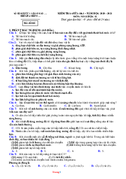 Đề kiểm tra giữa học kỳ I năm 2020-2021 môn sinh học 11 mã đề 003 (có lời giải)