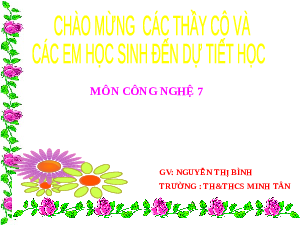 Giáo án điện từ Công nghệ 7 Bài 4 Cánh Diều: Giới thiệu chung về rừng